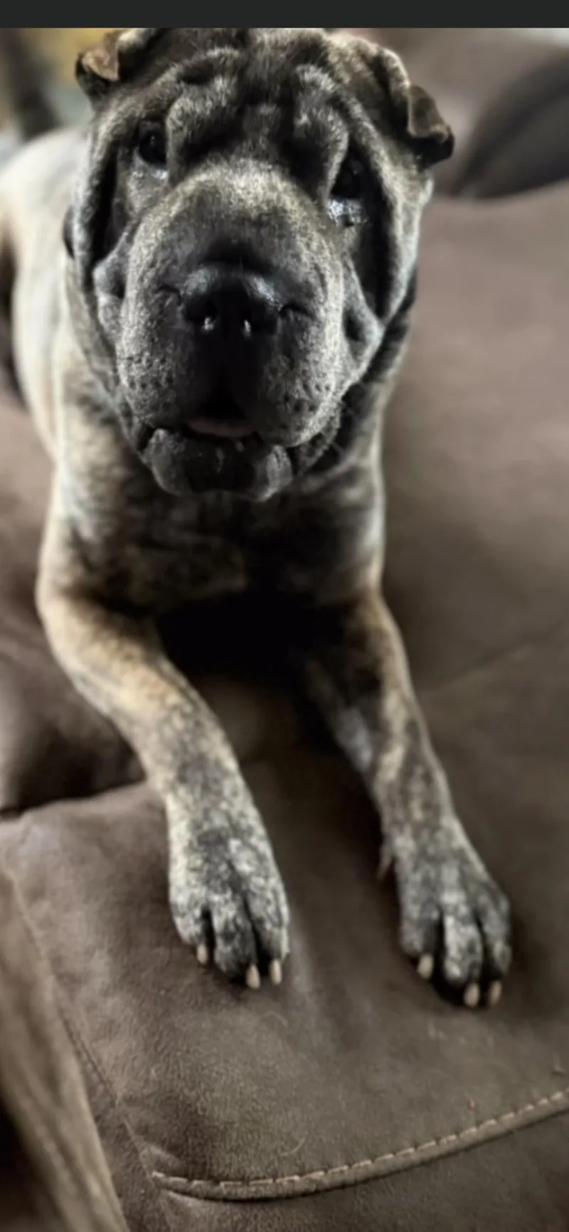 Jax