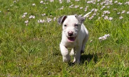 Felicity thumbnail 2