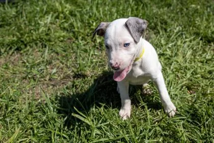 Felicity thumbnail 3