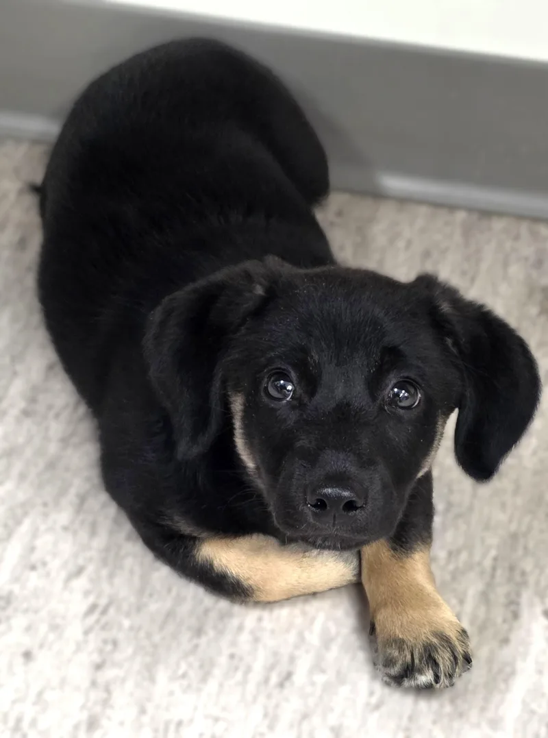 Tucker