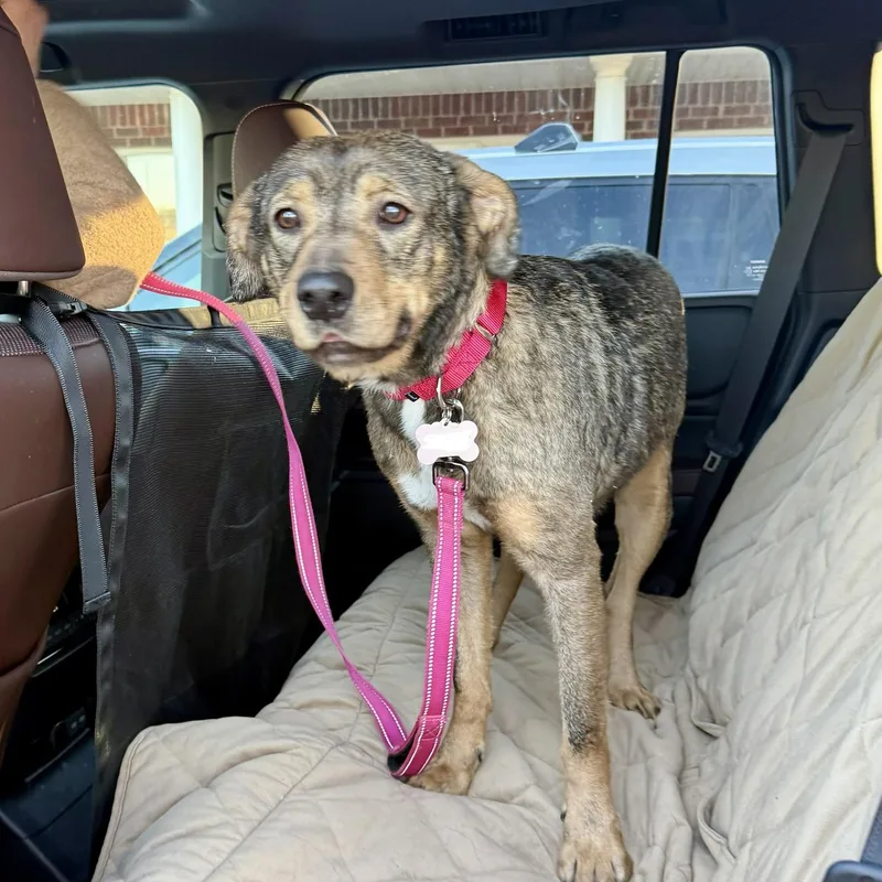 Callen Marie thumbnail 2