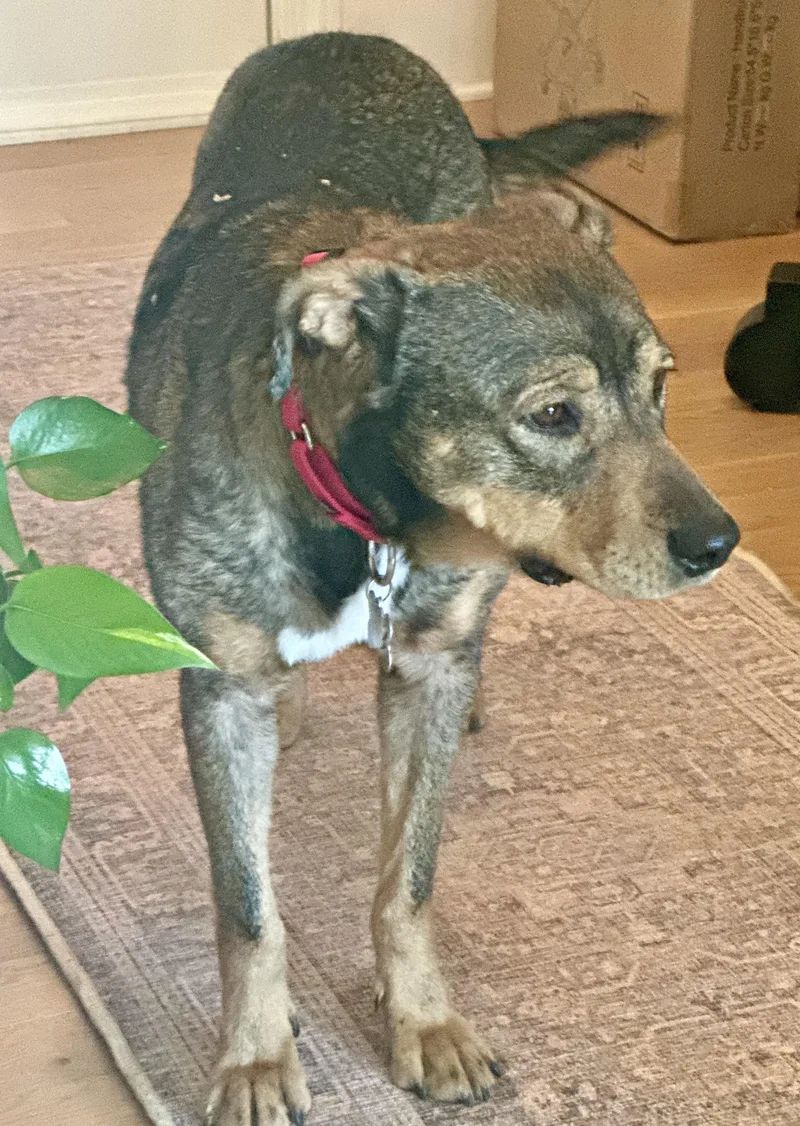 Callen Marie thumbnail 3