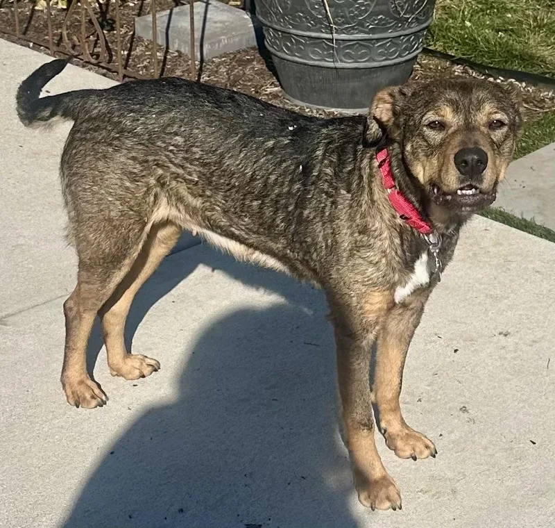 Callen Marie thumbnail 4