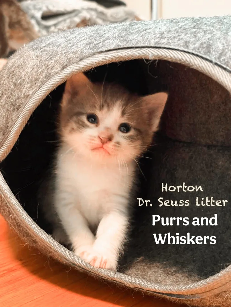 Horton thumbnail 3