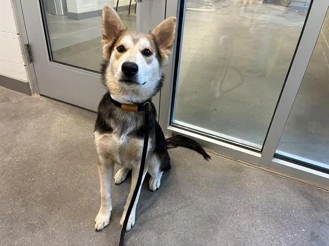 Yuki