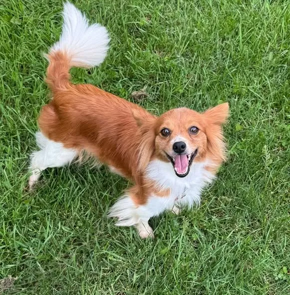 Juliet