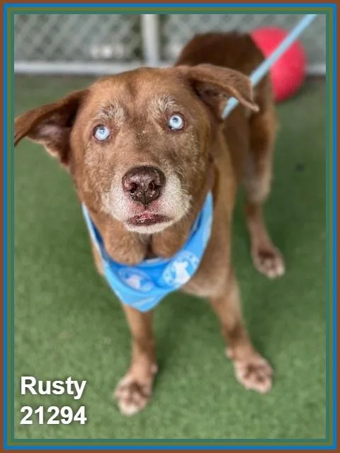 Rusty