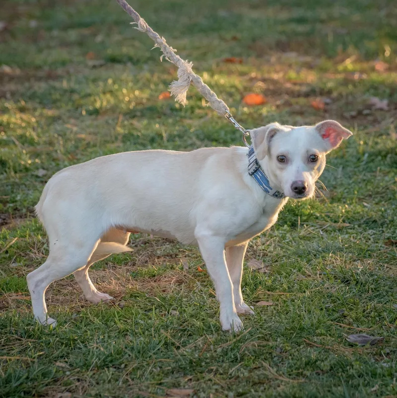 Claudette thumbnail 2