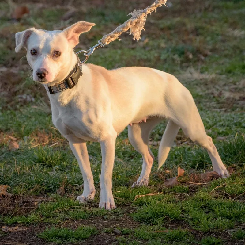 Claudette thumbnail 3