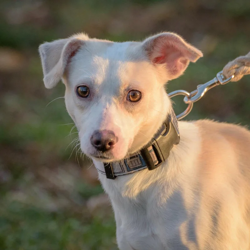 Claudette thumbnail 4