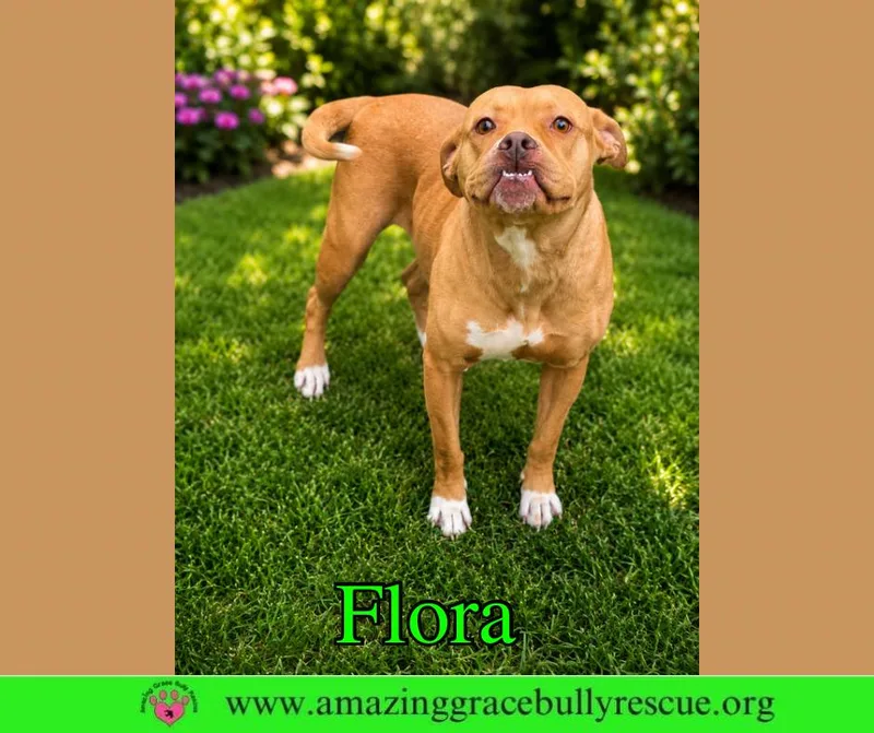 Flora