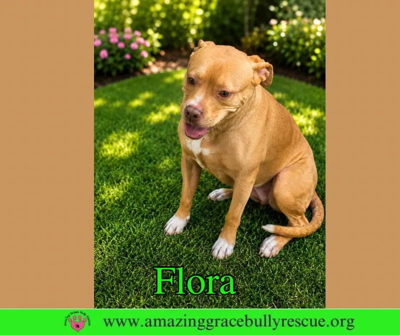 Flora thumbnail 3