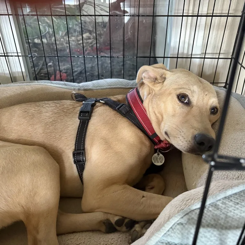 Mia Aka "cookie" thumbnail 5