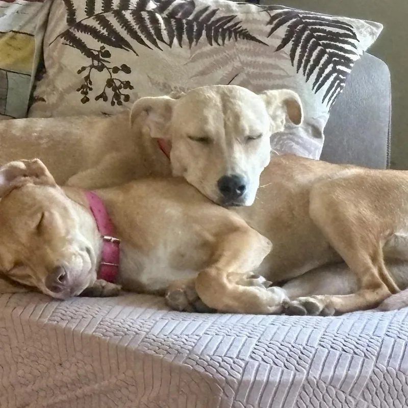 Mia Aka "cookie" thumbnail 6