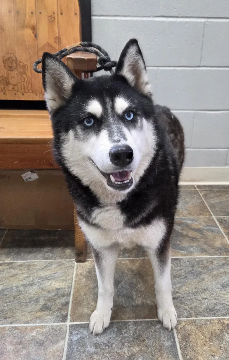 Luna