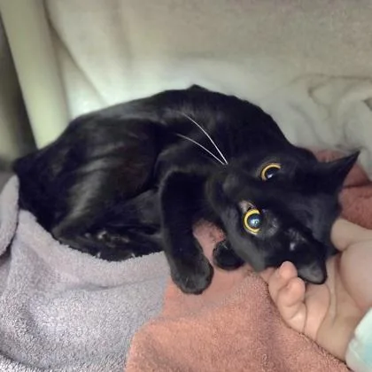 Glee thumbnail 2