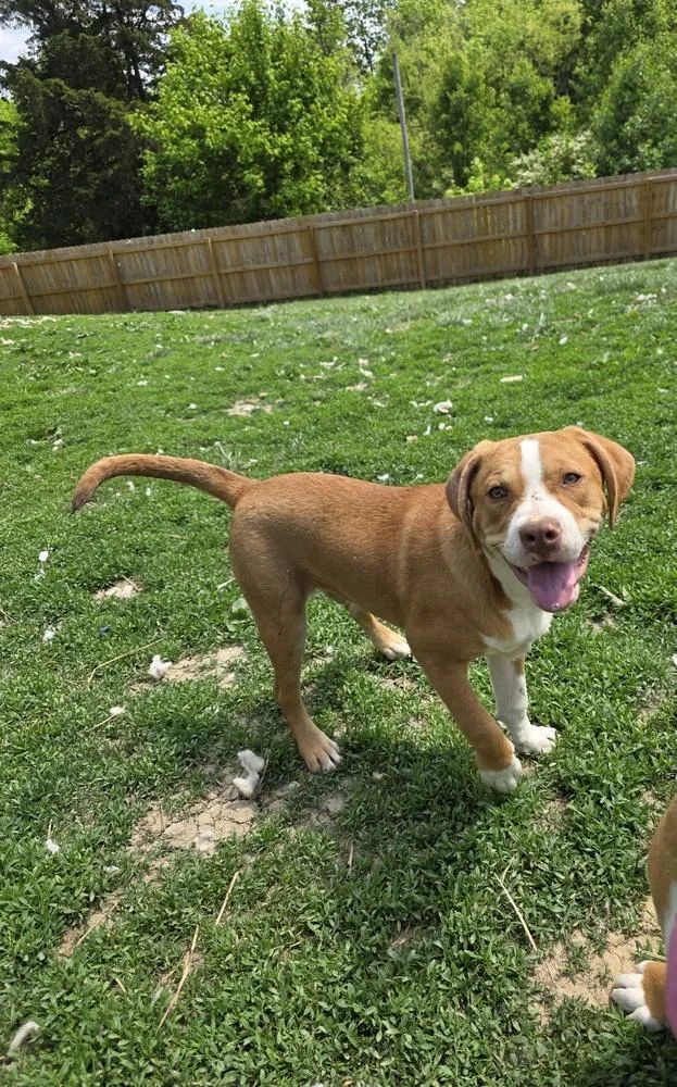 Marion Bullgles : Frank thumbnail 5