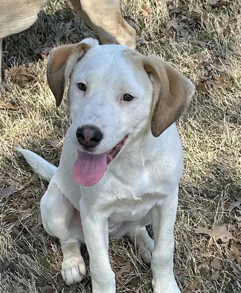 Bella  Colette’s Girls thumbnail 5