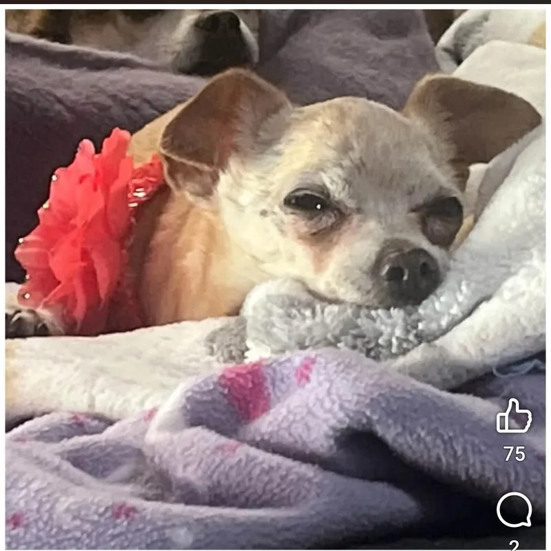 Ruthie thumbnail 5