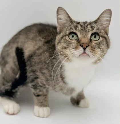 Marielle thumbnail 2