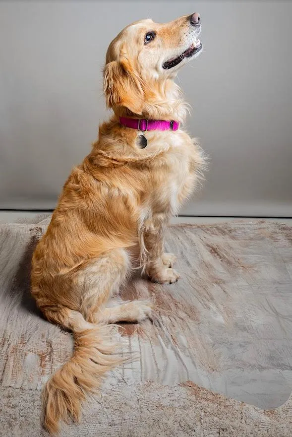 Maggie
