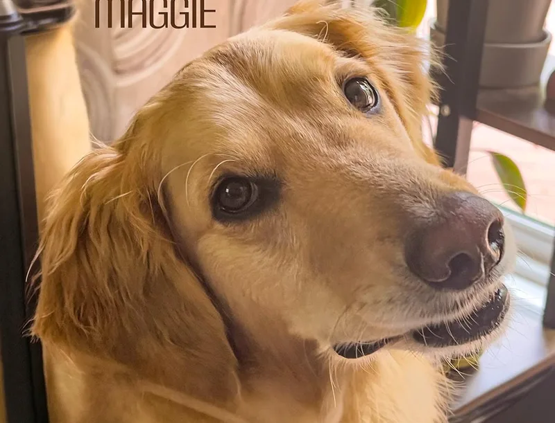 Maggie thumbnail 3