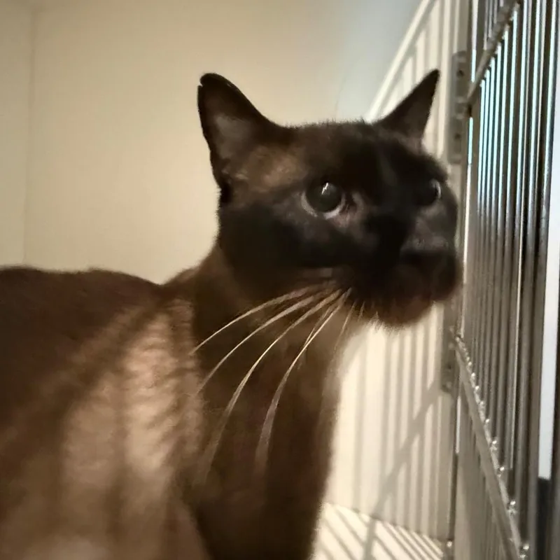 Zach thumbnail 2