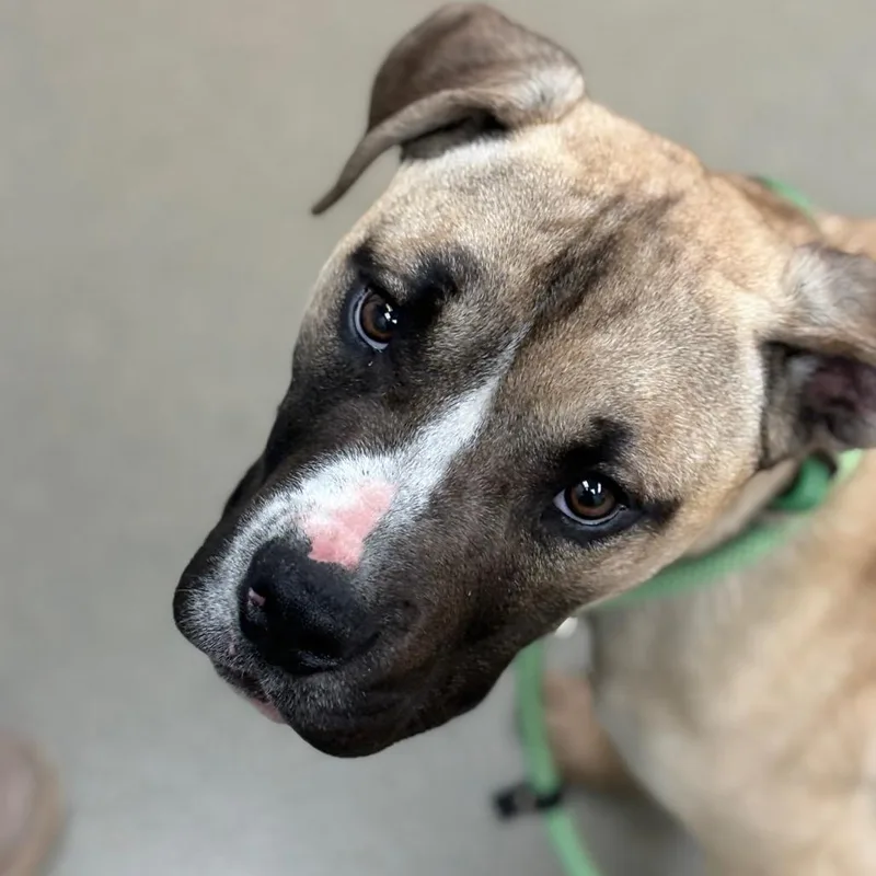 Giovanni thumbnail 2