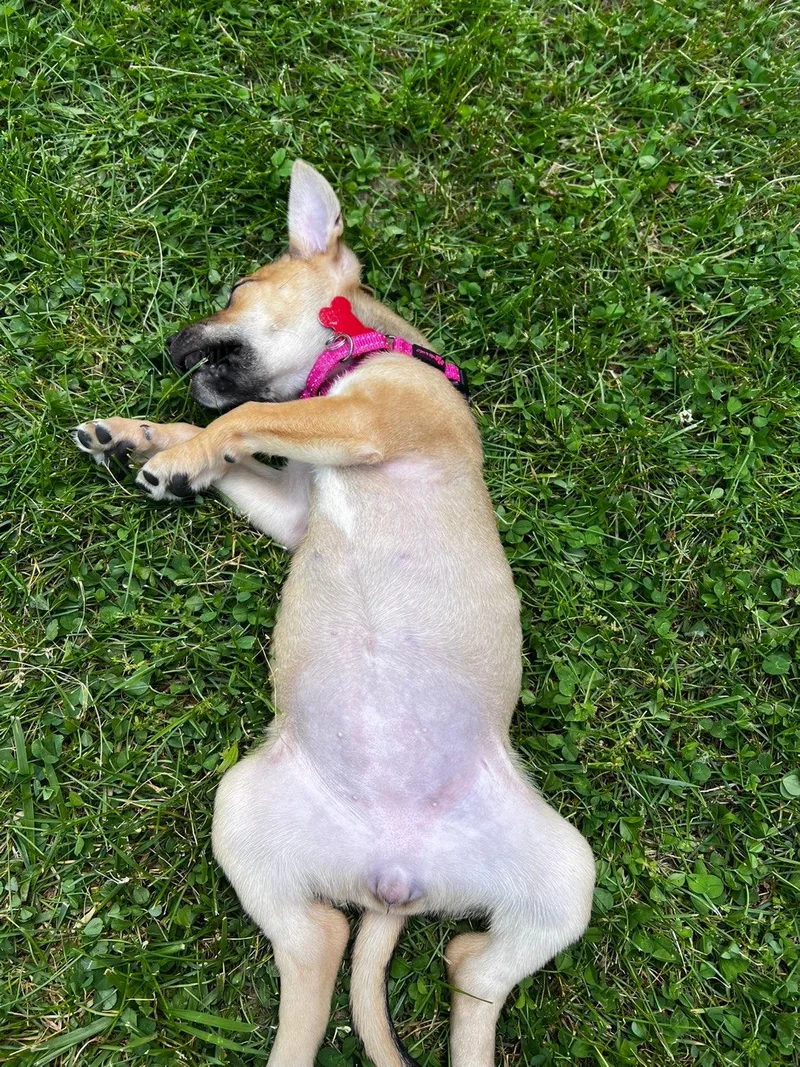 Ginny thumbnail 3