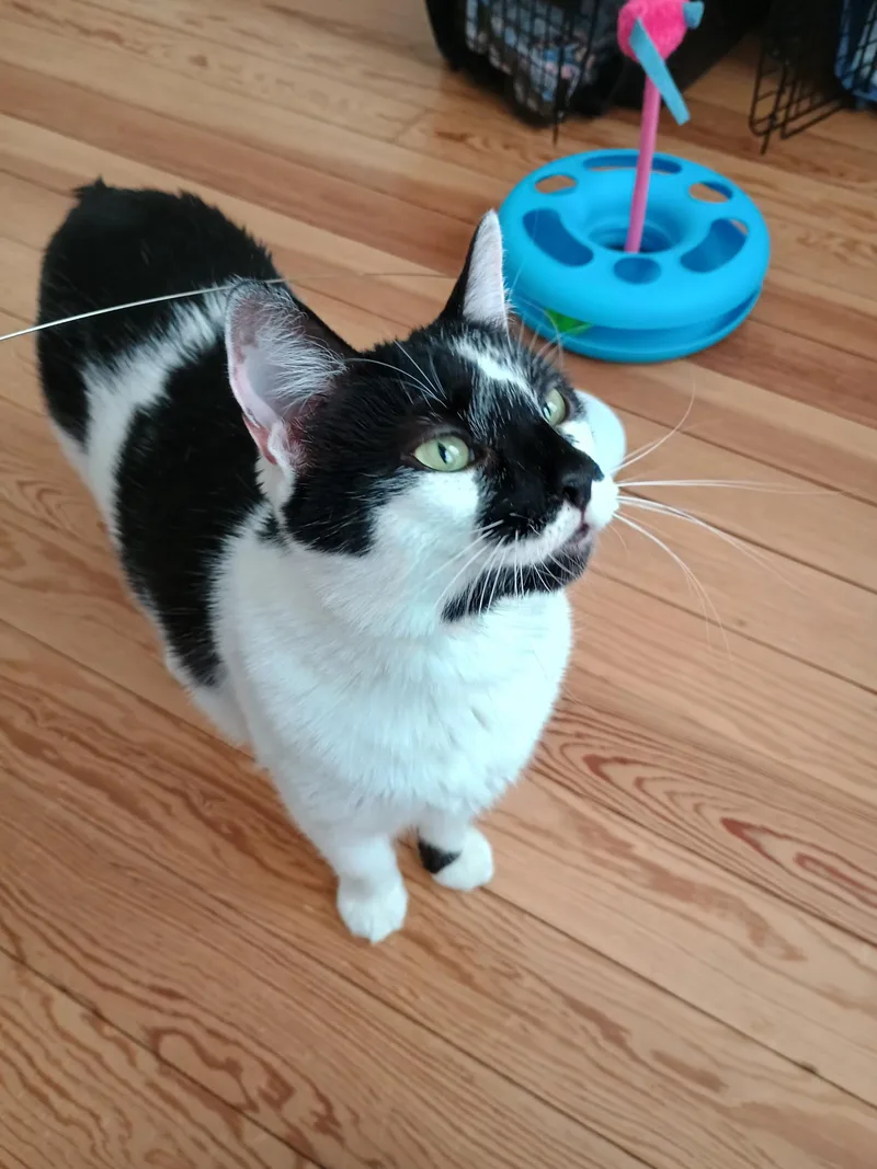 Lucy