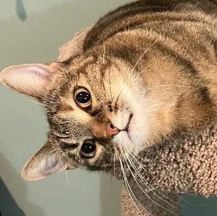 Gianna The Gorgeous thumbnail 2