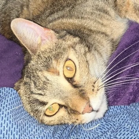 Gianna The Gorgeous thumbnail 3