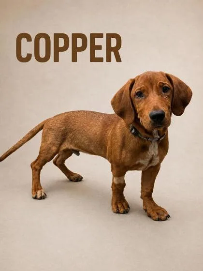 Copper