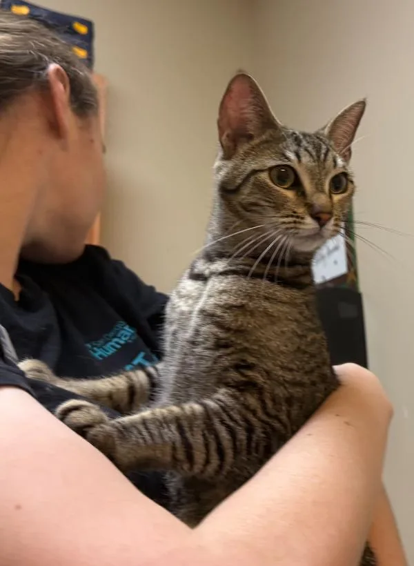 Peggy