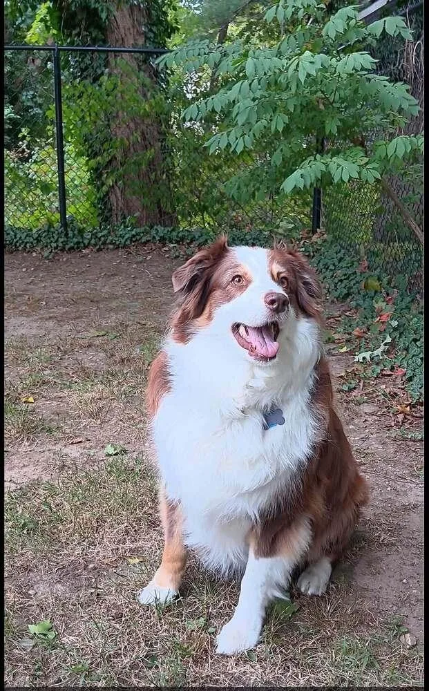 Sadie thumbnail 2