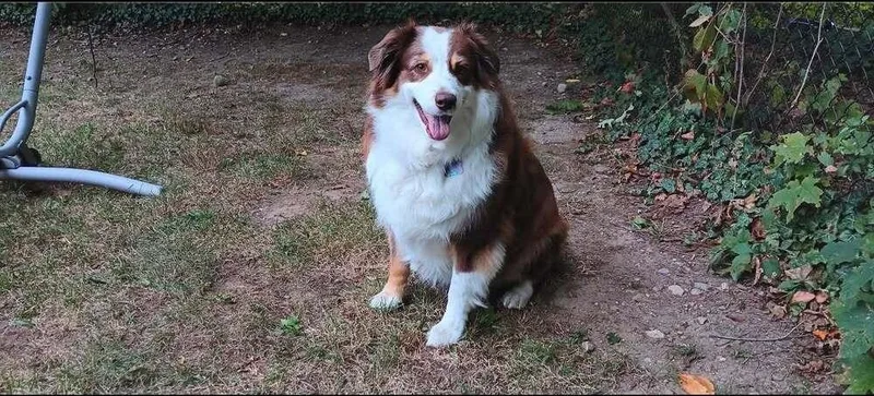 Sadie thumbnail 5