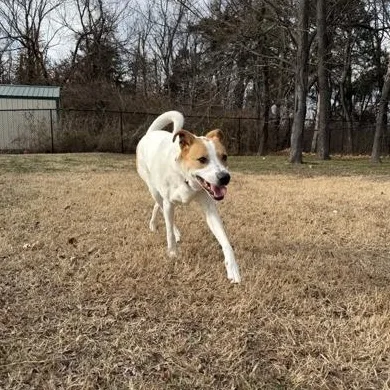 Lady Bug thumbnail 2