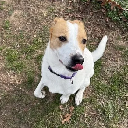 Lady Bug thumbnail 5