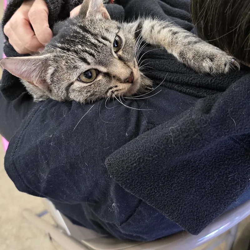 Jenny And Joey thumbnail 2