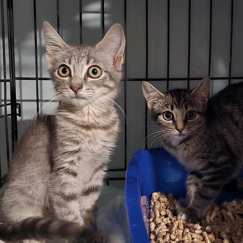 Jenny And Joey thumbnail 3