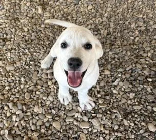Betty thumbnail 3