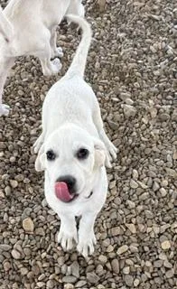 Betty thumbnail 4