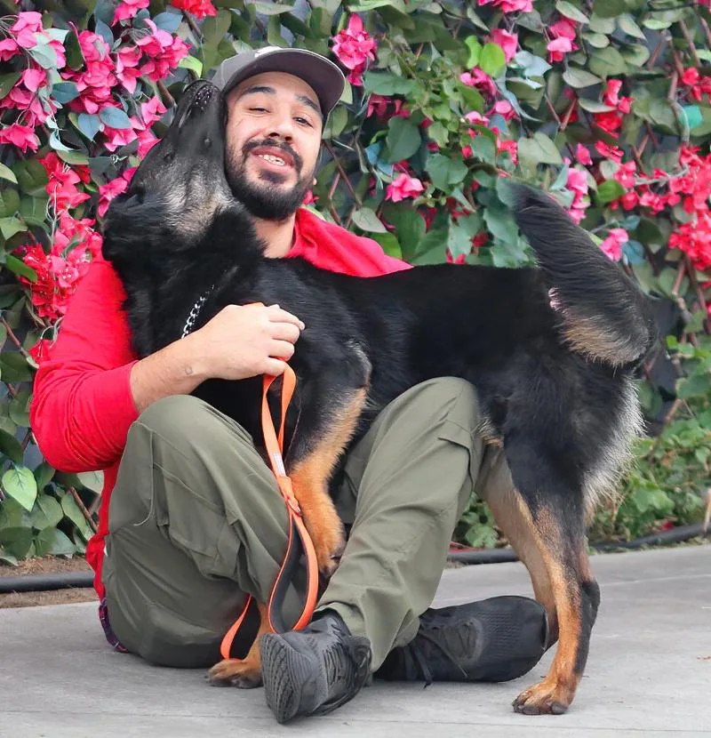 Onyx Von Oelsnitz" thumbnail 5