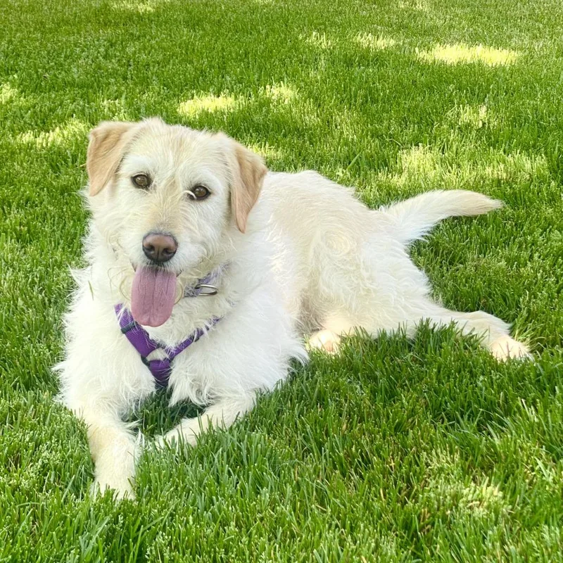 Sadie