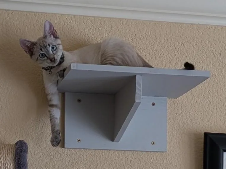 Sam