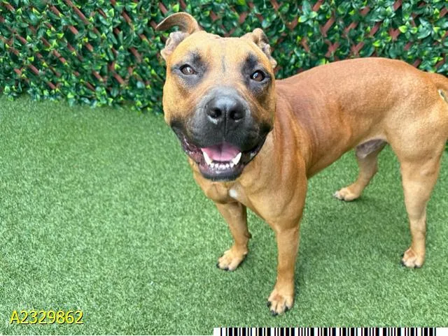 Clem Attorney At Law