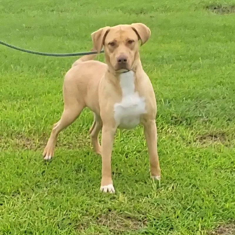 Daniella thumbnail 3