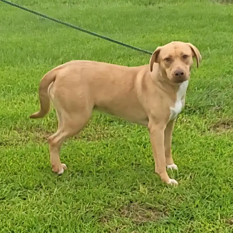 Daniella thumbnail 5