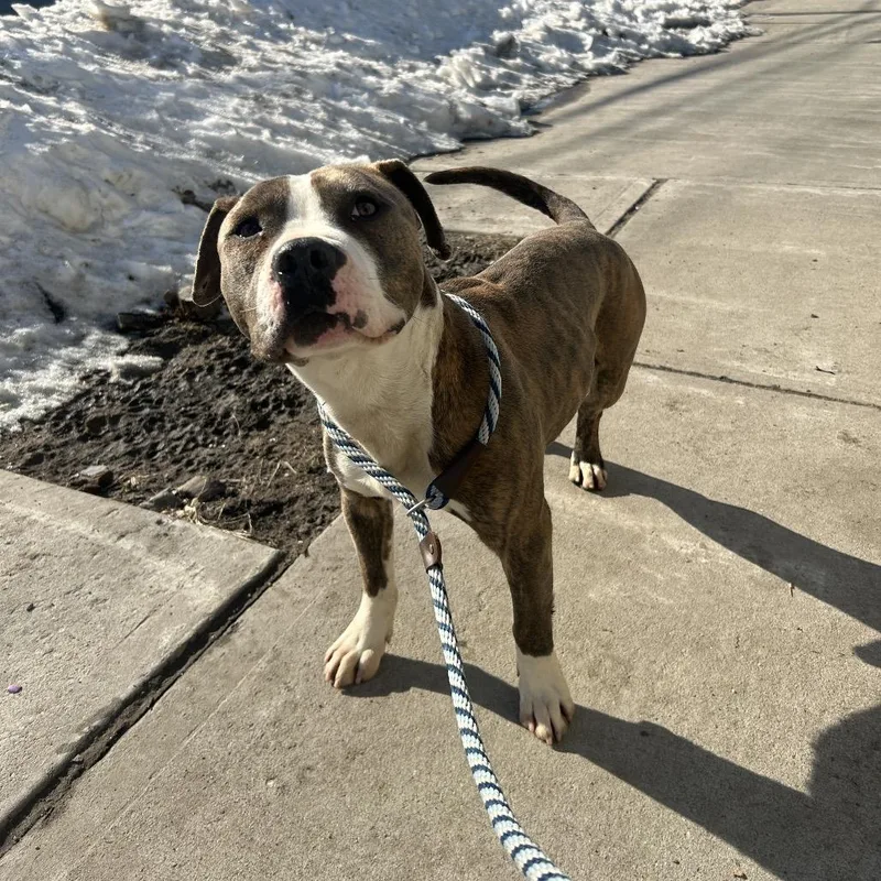 Harry Styles thumbnail 2