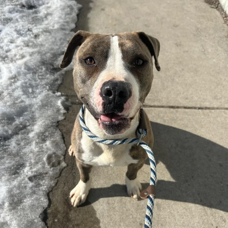 Harry Styles thumbnail 3